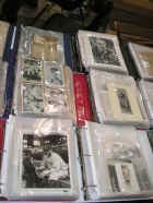 BD09Nat (318).JPG (71178 bytes)