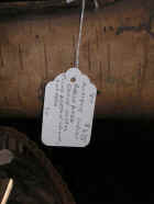 pict3800.jpg (44813 bytes)