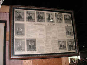 pict0210.jpg (178072 bytes)