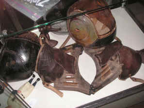 pict0005.jpg (262946 bytes)