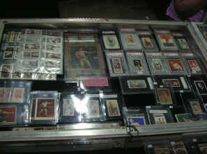 pict0301.jpg (264867 bytes)