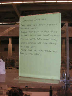 pict1239.jpg (100259 bytes)