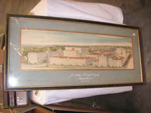 pict1251.jpg (100231 bytes)