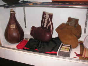 pict0844.jpg (99166 bytes)