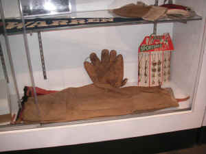 pict0861.jpg (91838 bytes)