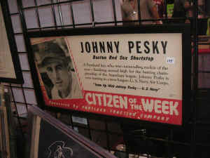 pict1184.jpg (144884 bytes)