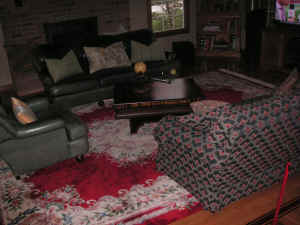 pict0980.jpg (187305 bytes)