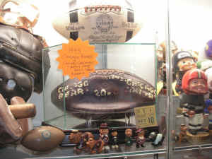 PICT0338 (Copy).JPG (361767 bytes)