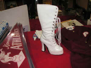 PICT0504 (Copy).JPG (322074 bytes)