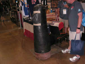 PICT0521 (Copy).JPG (353781 bytes)