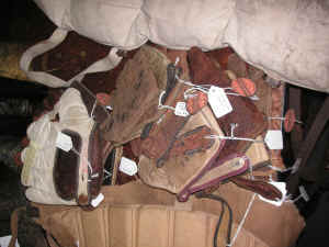 PICT0590 (Copy).JPG (404982 bytes)