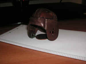 PICT0032 (Copy).JPG (100443 bytes)