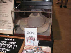 pict0346 (copy).jpg (110630 bytes)