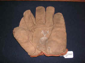 pict6741.jpg (222890 bytes)