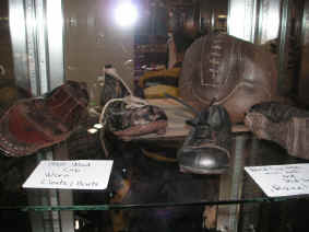 pict7395.jpg (192994 bytes)