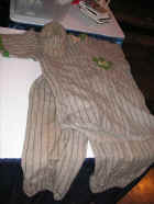 PICT4556.JPG (62944 bytes)