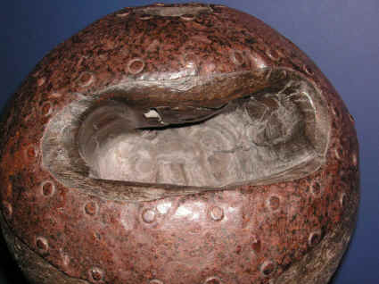 4.jpg (246250 bytes)