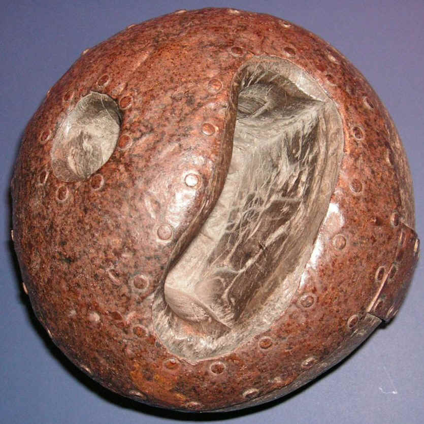 GalleryShot.jpg (273832 bytes)