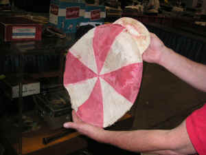 PICT2064_1200x900.jpg (175756 bytes)