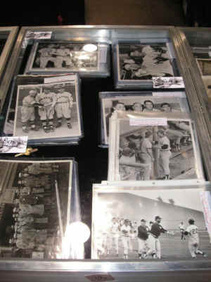 PICT2251_900x1200.jpg (170296 bytes)