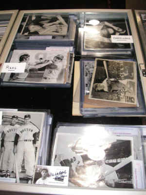 PICT2252_900x1200.jpg (164521 bytes)