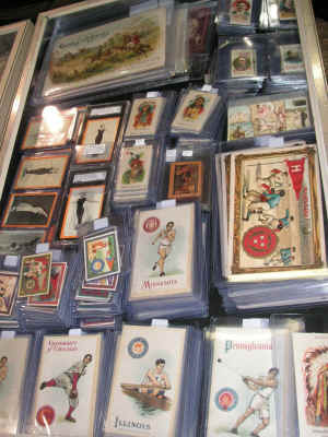 PICT2349_900x1200.jpg (210057 bytes)