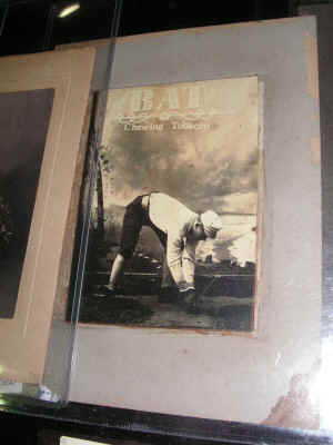 PICT2505_900x1200.jpg (153284 bytes)