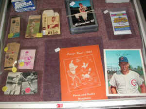 PICT2513_1200x900.jpg (216561 bytes)