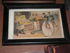 PICT2524_1200x900.jpg (208658 bytes)