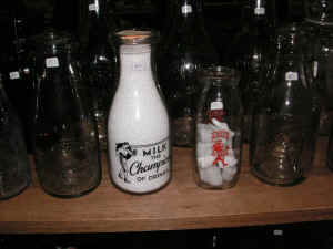 PICT4533_1200x900.jpg (185788 bytes)