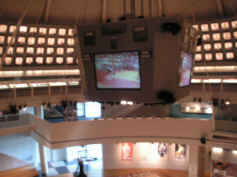 PICT9914_1200x900.jpg (154722 bytes)