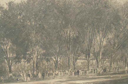 CloseYaleLitho_1600x1200.jpg (141620 bytes)