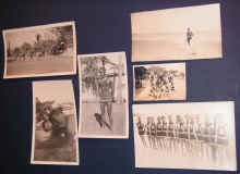 DukeGroup.jpg (170889 bytes)