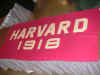 HarvardBan1918.JPG (796932 bytes)