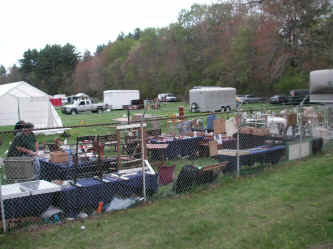 PICT0440_1200x900.jpg (235148 bytes)