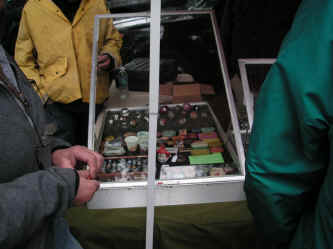 PICT0601_1200x900.jpg (159965 bytes)