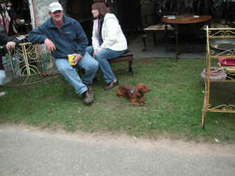 PICT0767_1200x900.jpg (212958 bytes)