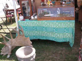 PICT1319_1200x900.jpg (252576 bytes)