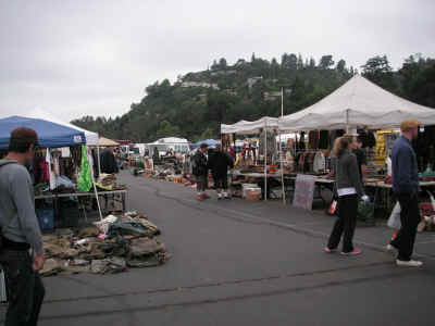 PICT6277_1200x900.jpg (173417 bytes)