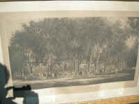 PICT7438_1600x1200.jpg (141620 bytes)