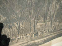 PICT7440_1600x1200.jpg (176369 bytes)