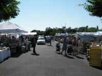 PICT7470_1600x1200.jpg (172925 bytes)