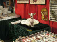 PICT7690_1600x1200.jpg (143887 bytes)