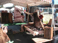 PICT9784_1200x900.jpg (214555 bytes)