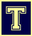 T_Block_Blue & Yellow.jpeg (3690 bytes)