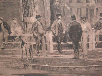 WalterCamp_1600x1200.jpg (202362 bytes)