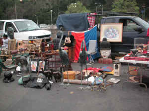 pict6163.jpg (237598 bytes)