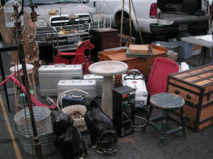 pict6176.jpg (209671 bytes)