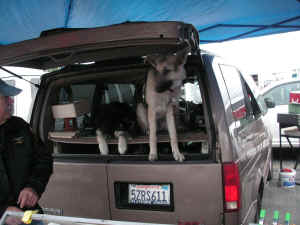 pict6216.jpg (178496 bytes)