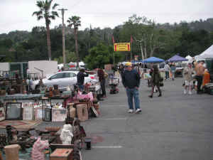 pict6229.jpg (208831 bytes)